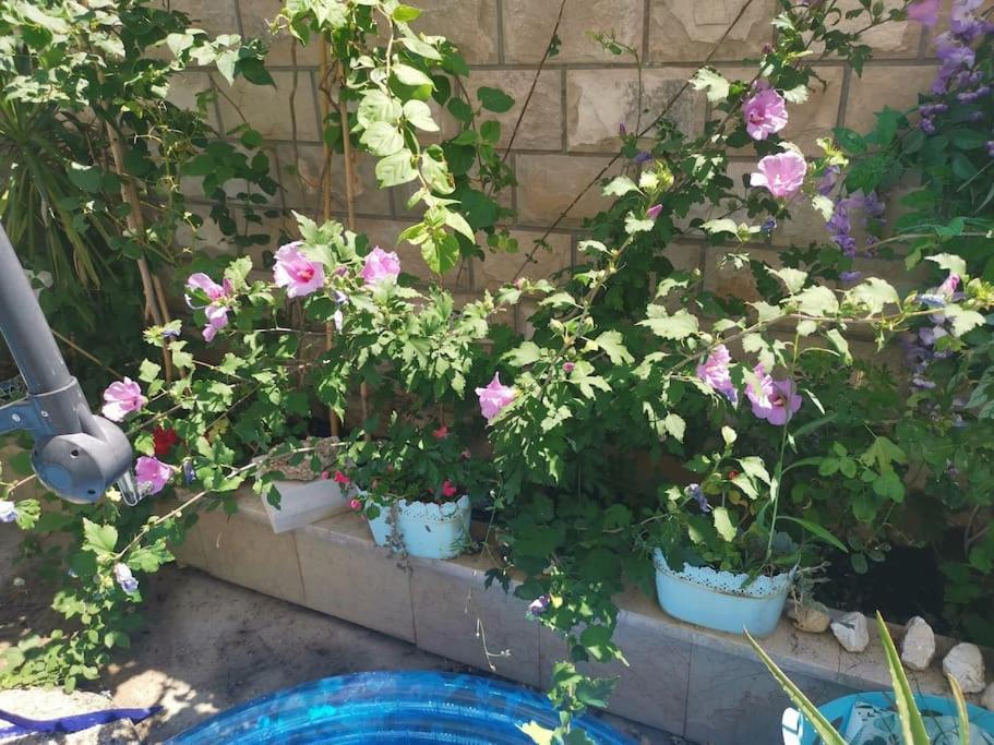 Makarska Blue Oasis Apartman 2-6 Dış mekan fotoğraf