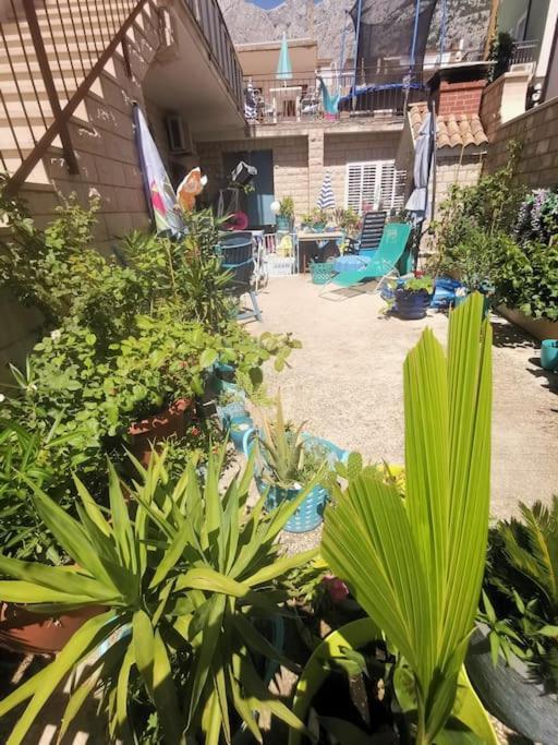 Makarska Blue Oasis Apartman 2-6 Dış mekan fotoğraf