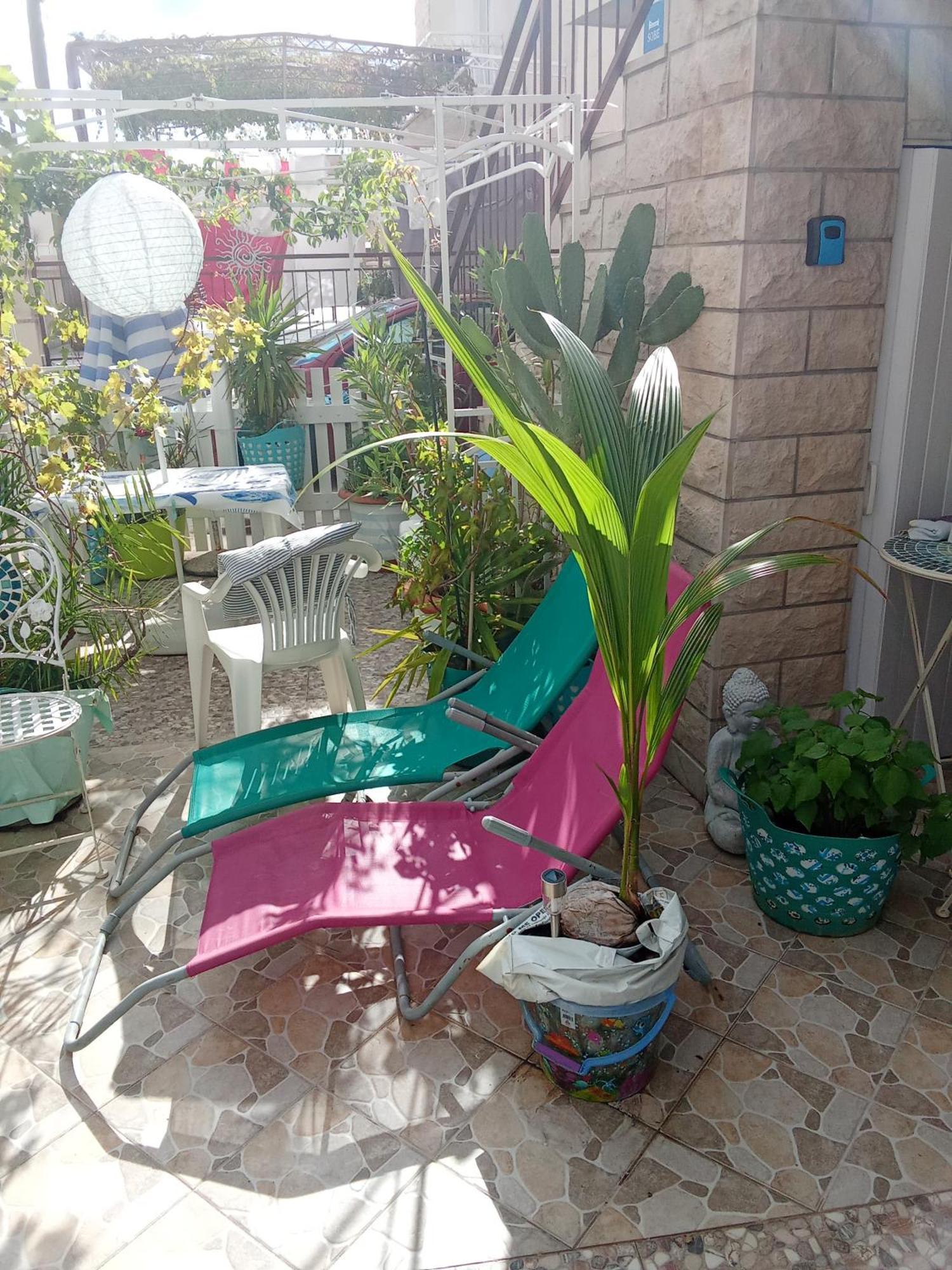 Makarska Blue Oasis Apartman 2-6 Dış mekan fotoğraf