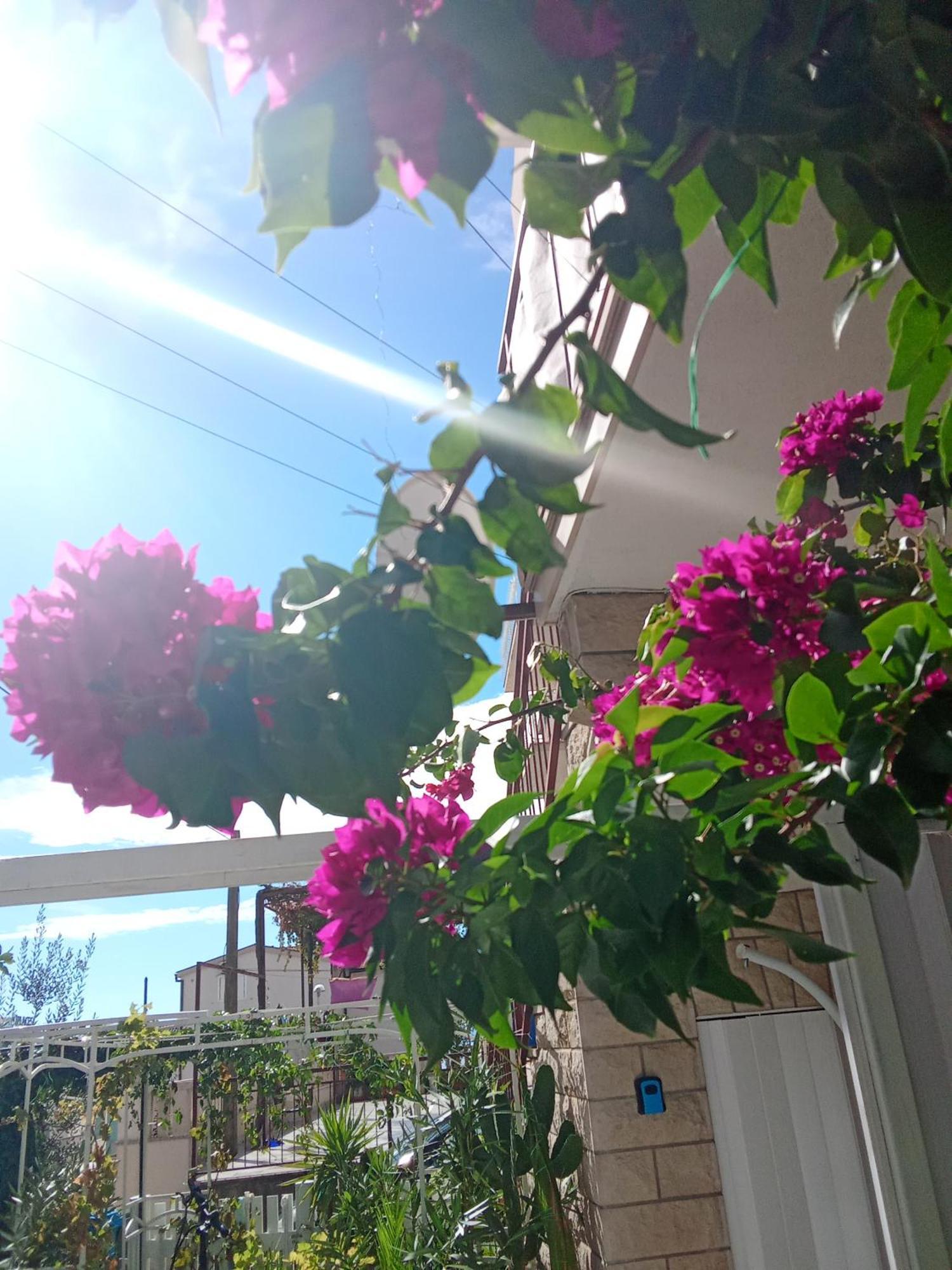 Makarska Blue Oasis Apartman 2-6 Dış mekan fotoğraf